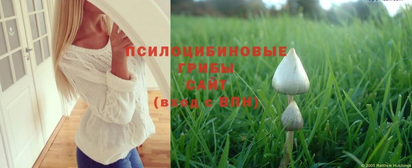 а пвп мука Бугульма