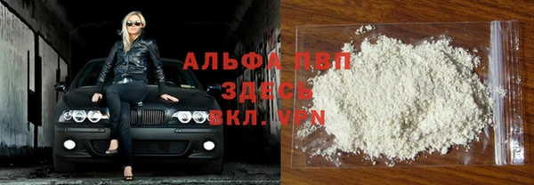 стаф Верея