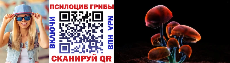Купить закладки  Миньяр  Галлюциногенные грибы Psilocybe 